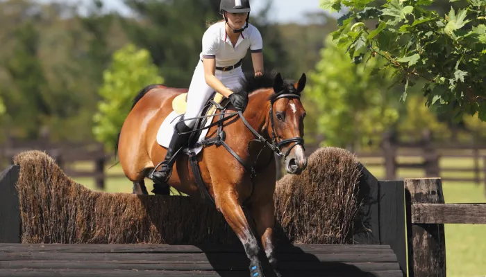 Equestrian Outfits for Riders Shop Riding Apparel Online